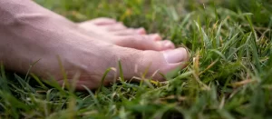 earthing que es